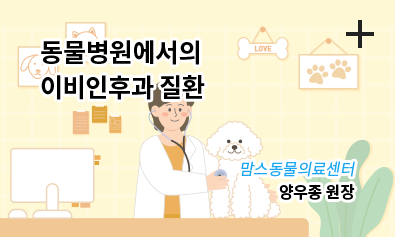 동물병원에서의 이비인후과 질환 / 맘스동물의료센터 / 양우종 원장