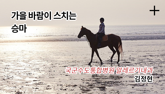 가을 바람이 스치는 승마 / 국순수도통합병원 알레르기내과 / 김정현