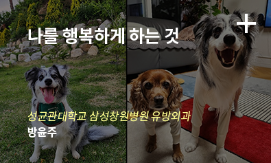 나를 행복하게 하는 것