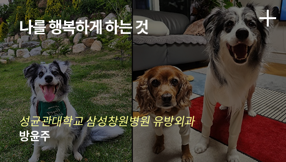 나를 행복하게 하는 것