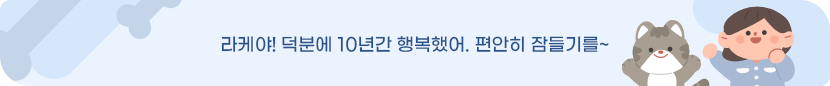 라케야! 덕분에 10년간 행복했어. 편안히 잠들기를~